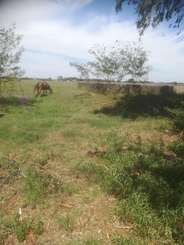 0 Bedroom Property for Sale in Roodia Free State